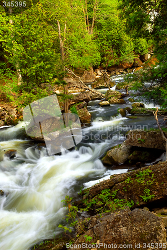 Image of River rapids