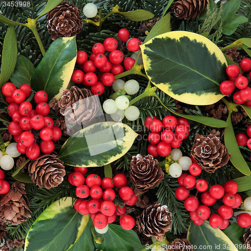 Image of Holly and Winter Flora 