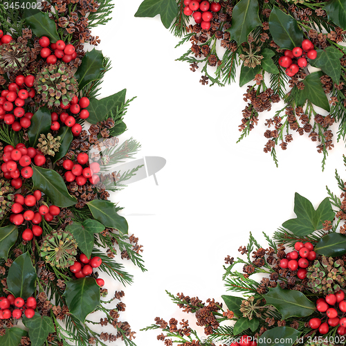 Image of Winter Flora Border