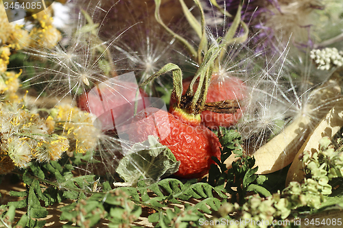 Image of Dried rosehip berries