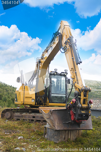 Image of Yellow Digger