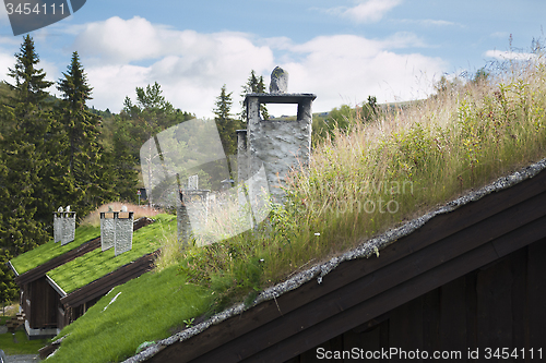 Image of Cabin With Gras Roof