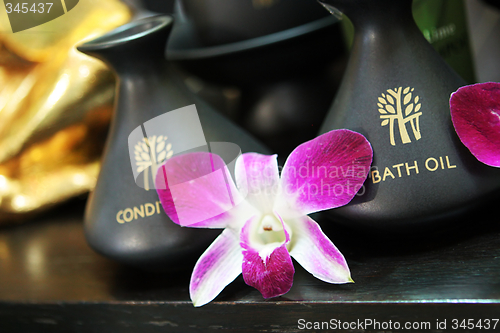 Image of Spa products