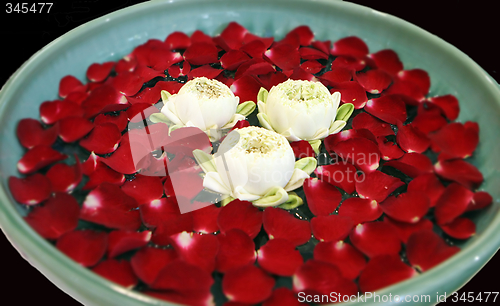 Image of Flowers from Thailand.