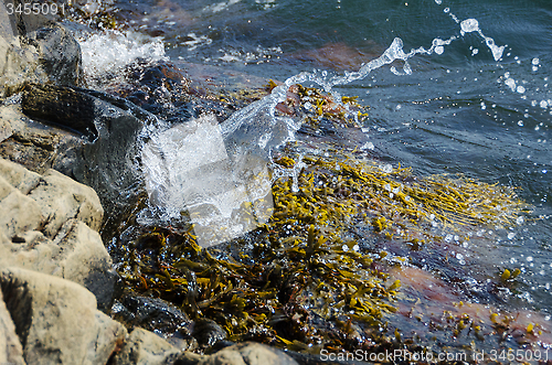 Image of Water splash