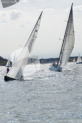 Image of sail competition