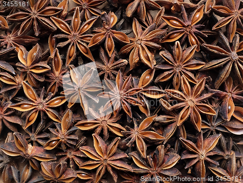 Image of Star anise as an abstract background texture
