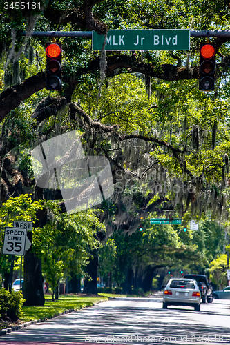 Image of Savannah Georgia  oak tree lined streets