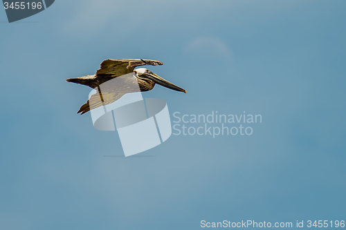 Image of nature scenes around hunting island south carolina