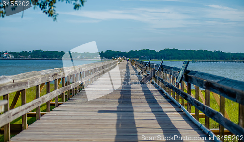 Image of nature scenes around hunting island south carolina