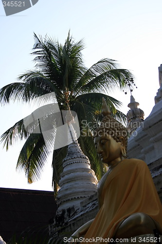 Image of The golden Buddha