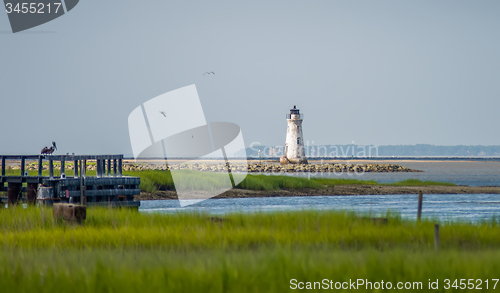 Image of waterway scenes near Cockspur Island Lighthouse