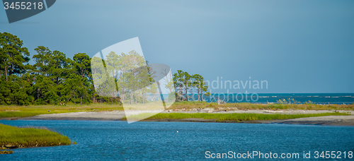 Image of nature scenes around hunting island south carolina