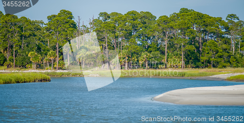 Image of nature scenes around hunting island south carolina