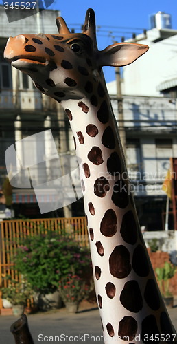 Image of The giraffe