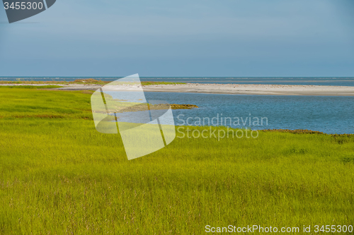 Image of nature scenes on hunting island south carolina