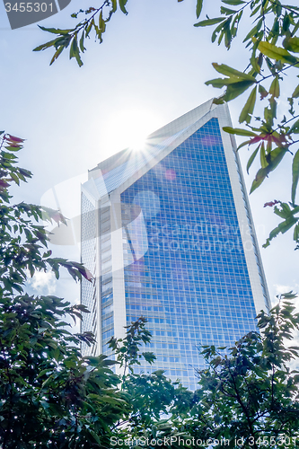 Image of charlotte nc skyline and street scenes during day time