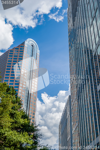 Image of charlotte nc skyline and street scenes during day time