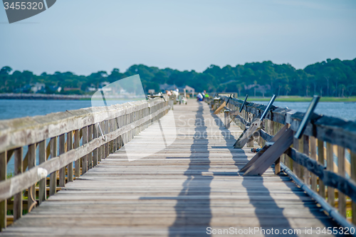 Image of nature scenes around hunting island south carolina