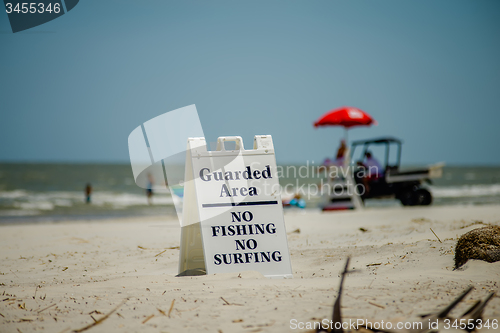 Image of nature scenes around hunting island south carolina