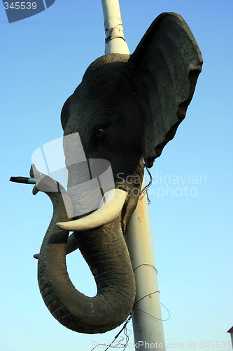 Image of Elephant head