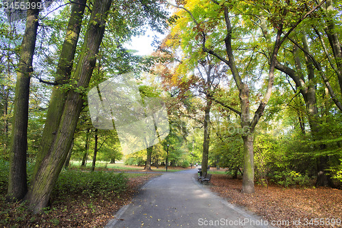 Image of Park in spring time