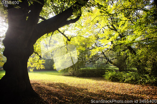 Image of Park in spring time