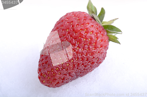Image of Close up strawberry, food concept