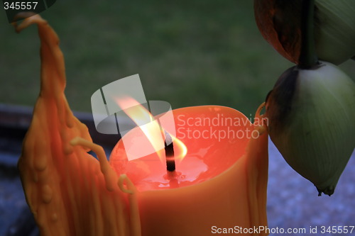 Image of Candle and bud