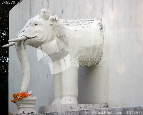 Image of Elephant in the wall