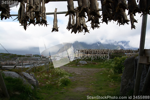 Image of Henningsvaer, Lofoten, Norway