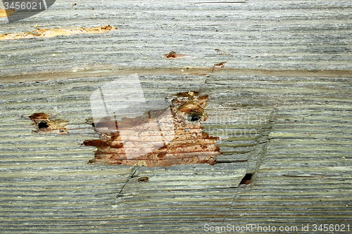 Image of insect attack on old construction wood