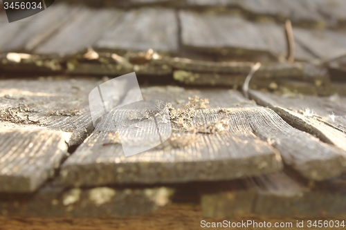 Image of lichens and fungus on damaged wood roof