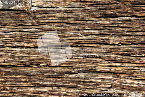Image of fibers on old oak wood