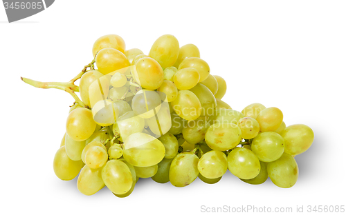 Image of A bunch of bright ripe grapes