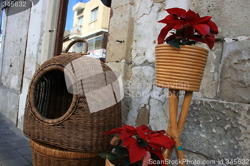 Image of Baskets and flowers