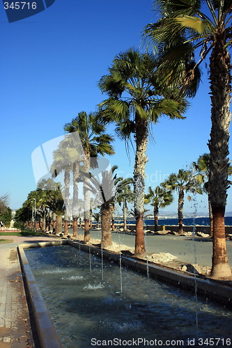 Image of Fountains and palms