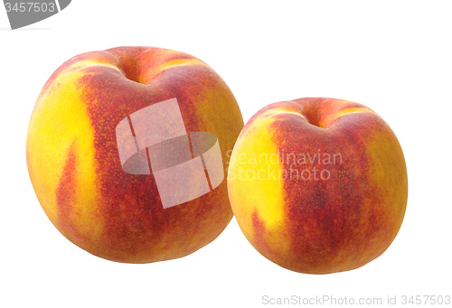 Image of Juicy nectarines