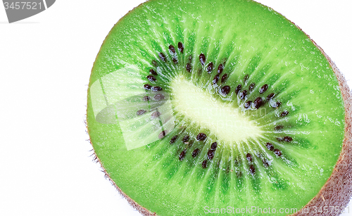 Image of Kiwi close up