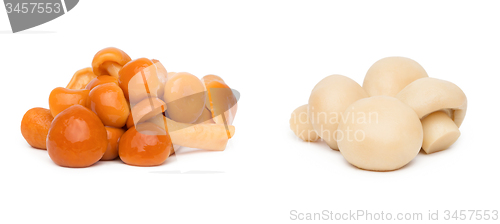 Image of Marinated mushrooms isolated on white