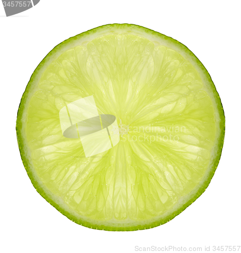 Image of slice of fresh lime on white background
