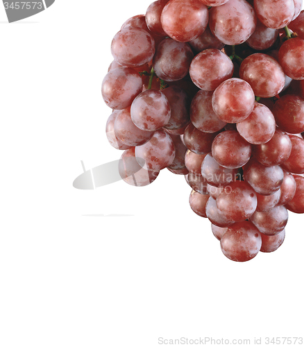 Image of close up of red grape