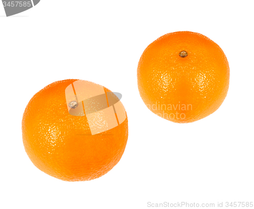 Image of oranges isolated
