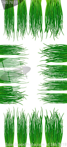 Image of Green grass