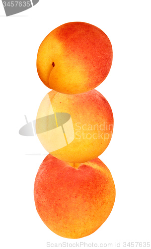 Image of Ripe peaches