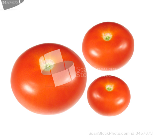 Image of Tomatoes isolated on white background