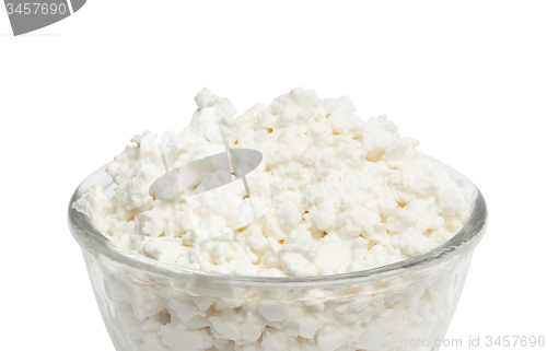 Image of Cottage cheese in plate