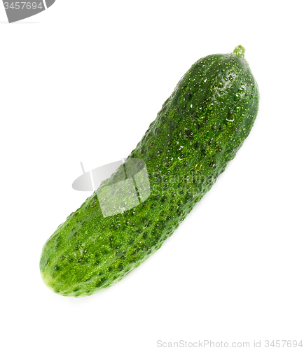 Image of Cucumber isolated on white background