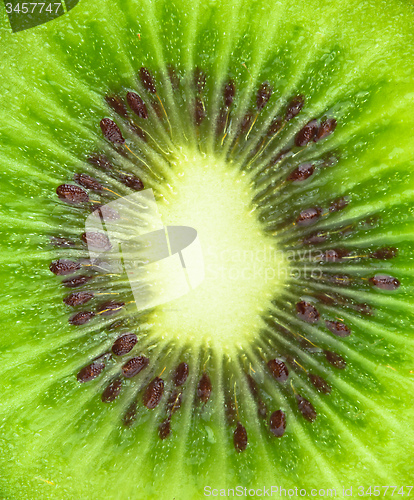 Image of Close up of kiwi slice