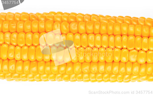 Image of Corn macro